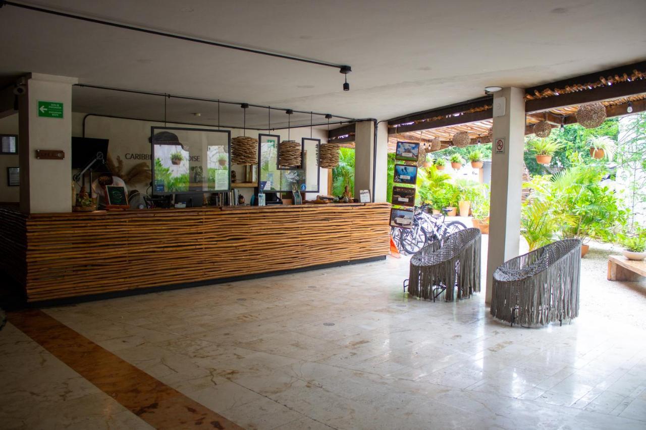 Caribbean Paradise Hotel & Spa - 5Th Avenue Playa del Carmen Exteriör bild