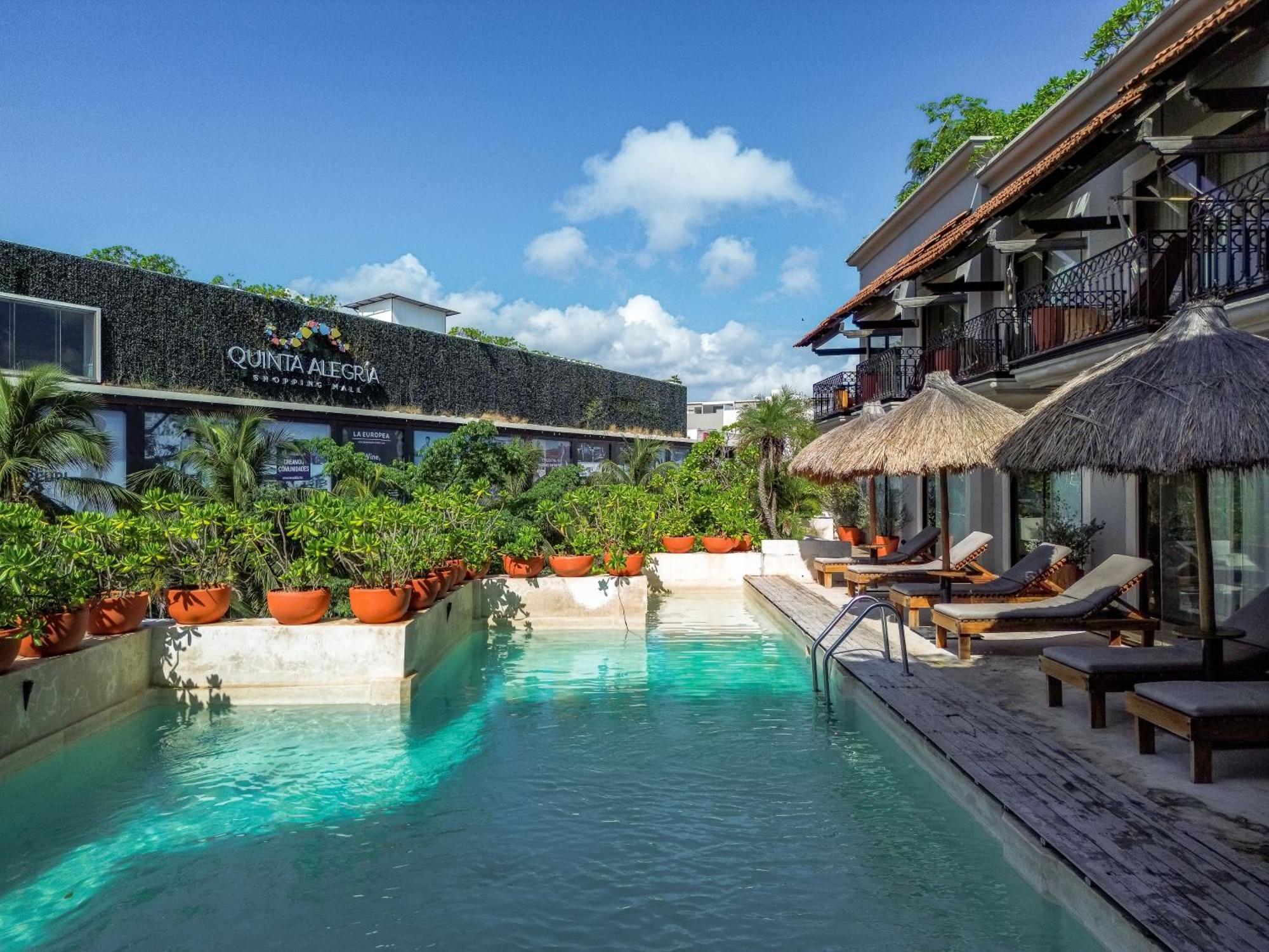 Caribbean Paradise Hotel & Spa - 5Th Avenue Playa del Carmen Exteriör bild